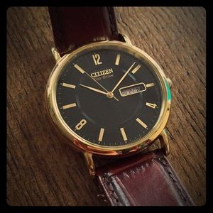 Citizen Eco-Drive Gold/Black watch w/ leather band